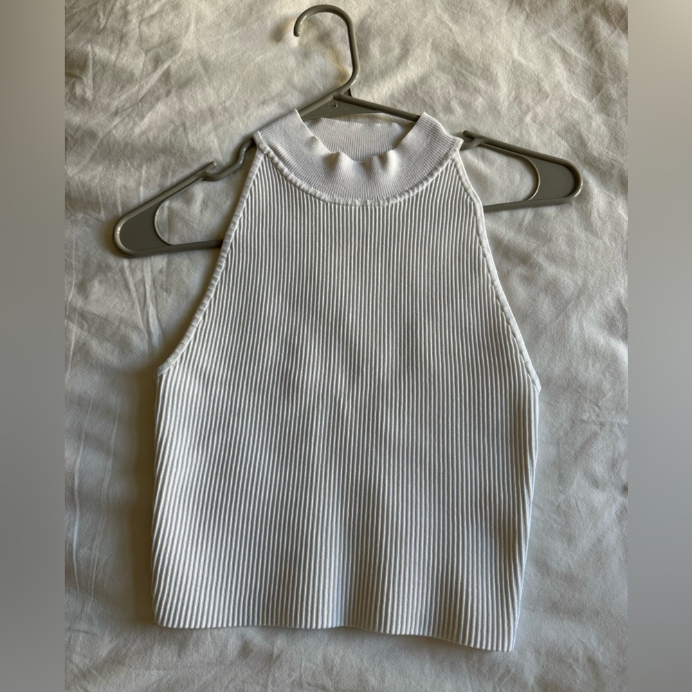 Aritzia Top